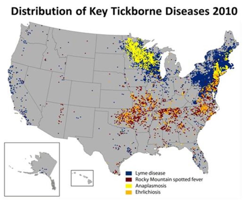 Tick Borne Diseases Clay Lab